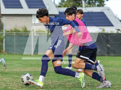 Thumbnail 1 in Animo Leadership vs Loyola (Scrimmage) photogallery.