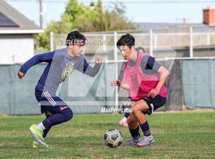 Thumbnail 1 in Animo Leadership vs Loyola (Scrimmage) photogallery.