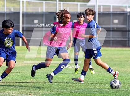 Thumbnail 1 in Animo Leadership vs Loyola (Scrimmage) photogallery.