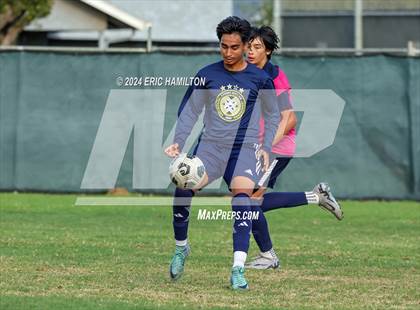Thumbnail 3 in Animo Leadership vs Loyola (Scrimmage) photogallery.