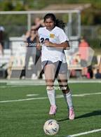 Photo from the gallery "Western Sierra Collegiate Academy @ Encina (CIF SJS D7 Playoff)"