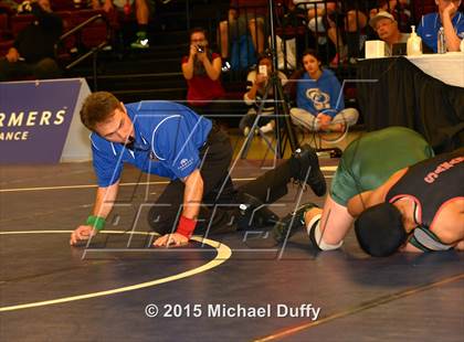 Thumbnail 3 in CIF State Girls Wrestling Championships (Semifinals) photogallery.