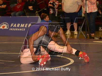 Thumbnail 2 in CIF State Girls Wrestling Championships (Semifinals) photogallery.