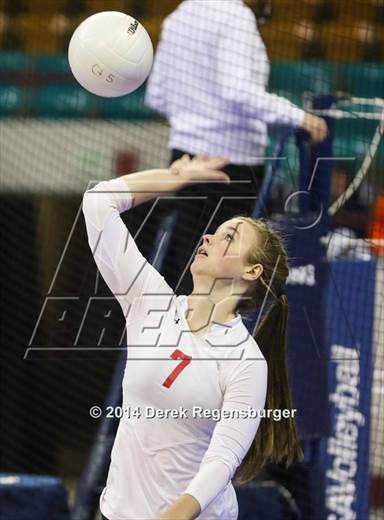 null - Photo 41