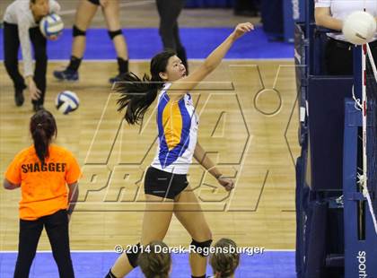 Thumbnail 2 in Fairview vs Rampart (CHSAA 5A Playoff) photogallery.