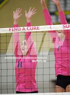 Photo from the gallery "Robinson @ Langley"