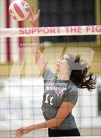 Photo from the gallery "Robinson @ Langley"