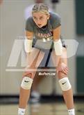 Photo from the gallery "Robinson @ Langley"