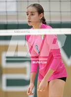 Photo from the gallery "Robinson @ Langley"
