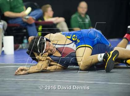 Thumbnail 3 in CIF State Boys Wrestling Championships (Round 3) photogallery.