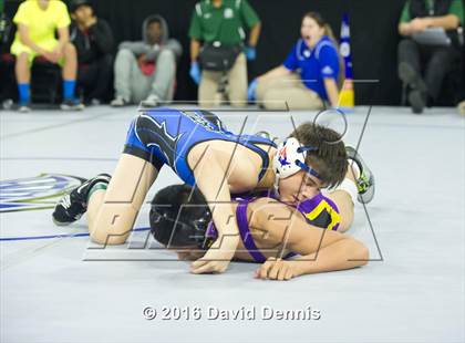 Thumbnail 2 in CIF State Boys Wrestling Championships (Round 3) photogallery.