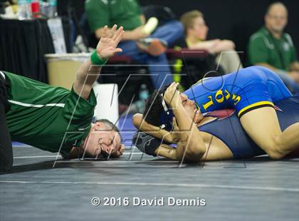 Thumbnail 3 in CIF State Boys Wrestling Championships (Round 3) photogallery.