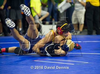 Thumbnail 2 in CIF State Boys Wrestling Championships (Round 3) photogallery.