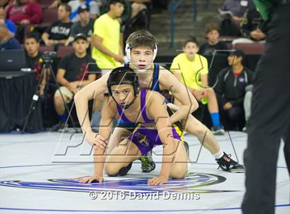 Thumbnail 2 in CIF State Boys Wrestling Championships (Round 3) photogallery.