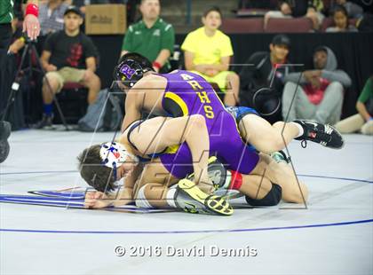 Thumbnail 2 in CIF State Boys Wrestling Championships (Round 3) photogallery.