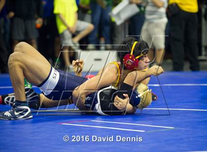Thumbnail 3 in CIF State Boys Wrestling Championships (Round 3) photogallery.