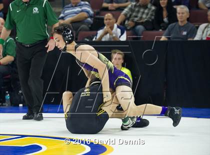 Thumbnail 1 in CIF State Boys Wrestling Championships (Round 3) photogallery.