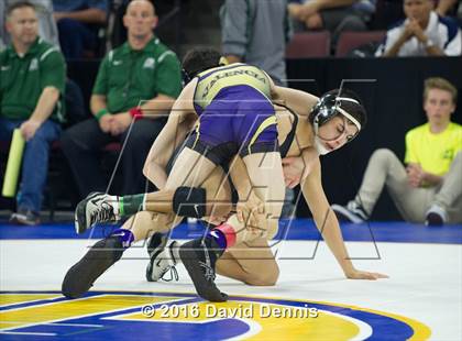 Thumbnail 1 in CIF State Boys Wrestling Championships (Round 3) photogallery.