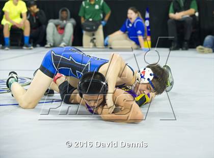 Thumbnail 3 in CIF State Boys Wrestling Championships (Round 3) photogallery.