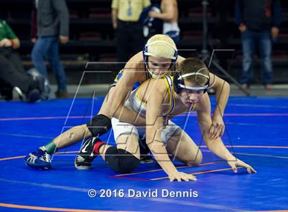 Thumbnail 3 in CIF State Boys Wrestling Championships (Round 3) photogallery.