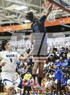 Photo from the gallery "Newton vs. IMG Academy (Spalding Hoophall Classic)"