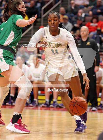 Thumbnail 2 in Archbishop Wood vs. South Fayette (PIAA 6A Championship) photogallery.