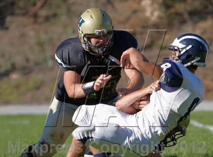 Thumbnail 2 in Aptos @ Harbor photogallery.