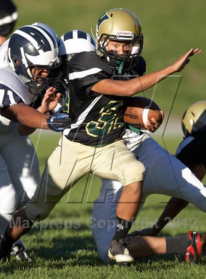 Thumbnail 2 in Aptos @ Harbor photogallery.