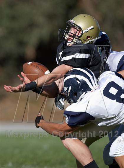 Thumbnail 3 in Aptos @ Harbor photogallery.