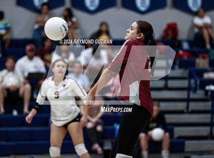 Thumbnail 1 in Torres @ Bullard photogallery.