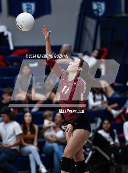 Thumbnail 1 in Torres @ Bullard photogallery.