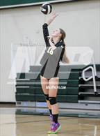 Photo from the gallery "Del Mar @ James Lick"