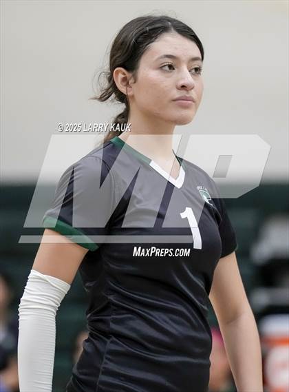 Thumbnail 1 in Del Mar @ James Lick photogallery.