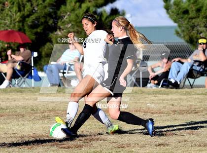 Thumbnail 3 in Palo Verde vs Faith Lutheran photogallery.