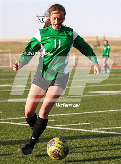 Thumbnail 3 in Mitchell @ Falcon photogallery.