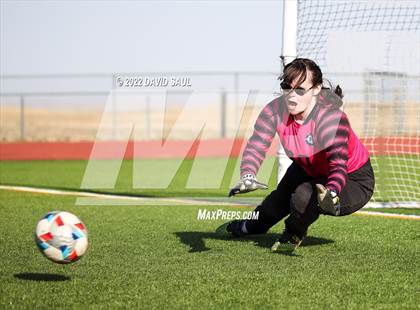 Thumbnail 1 in Mitchell @ Falcon photogallery.