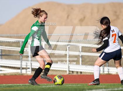Thumbnail 1 in Mitchell @ Falcon photogallery.
