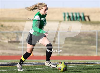 Thumbnail 1 in Mitchell @ Falcon photogallery.
