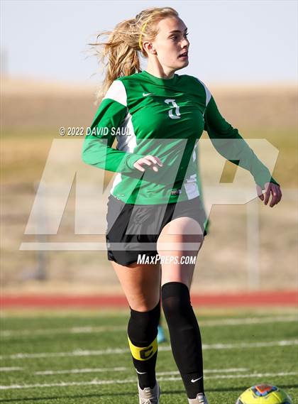 Thumbnail 1 in Mitchell @ Falcon photogallery.