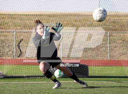 Thumbnail 1 in Mitchell @ Falcon photogallery.
