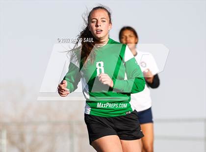 Thumbnail 1 in Mitchell @ Falcon photogallery.