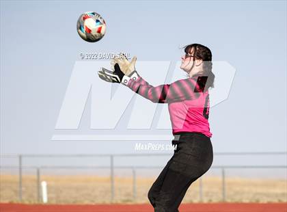 Thumbnail 3 in Mitchell @ Falcon photogallery.