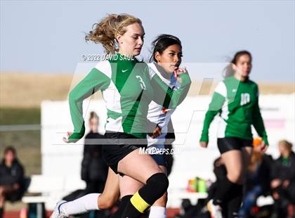 Thumbnail 1 in Mitchell @ Falcon photogallery.