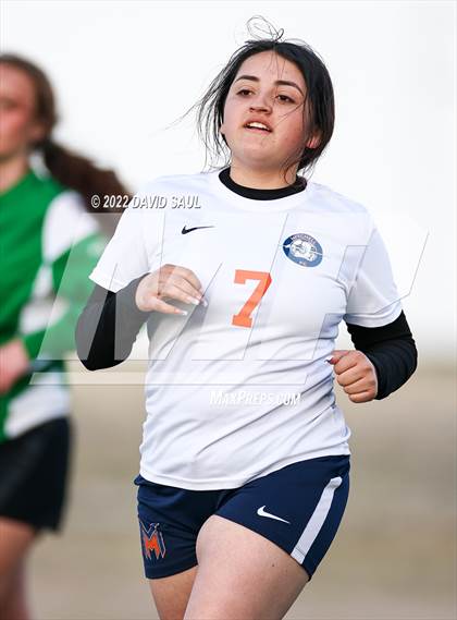 Thumbnail 2 in Mitchell @ Falcon photogallery.