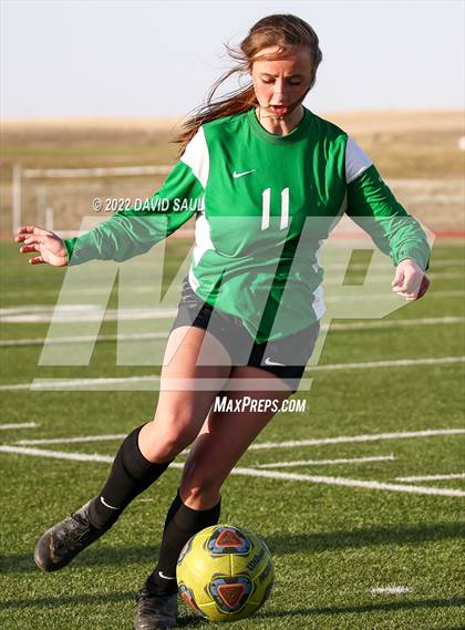 Thumbnail 1 in Mitchell @ Falcon photogallery.
