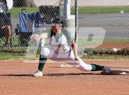 Thumbnail 1 in Sheldon @ Monterey Trail photogallery.