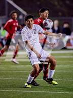 Photo from the gallery "Franklin @ Cordova"
