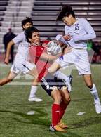 Photo from the gallery "Franklin @ Cordova"