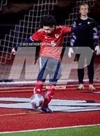 Photo from the gallery "Franklin @ Cordova"