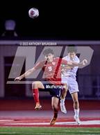Photo from the gallery "Franklin @ Cordova"